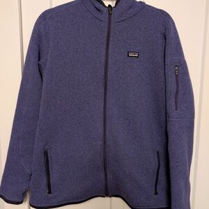 Patagonia Hooded better sweater
